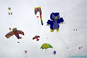RIMINI 2012 - 093